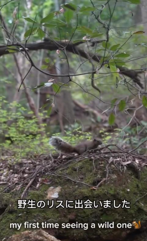 Screenshot 2024-12-30 193816.png