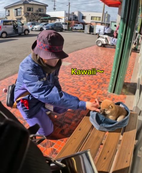 Screenshot 2024-12-30 225017.png