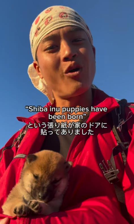 Screenshot 2024-12-30 224848.png