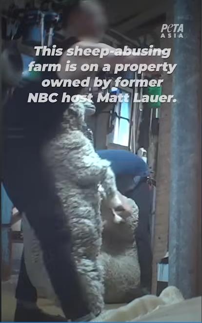 PETA otpužila Meta Lauera za zlostavljanje životinja 3.png