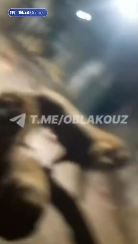 Screenshot 2024-12-31 174616.jpg