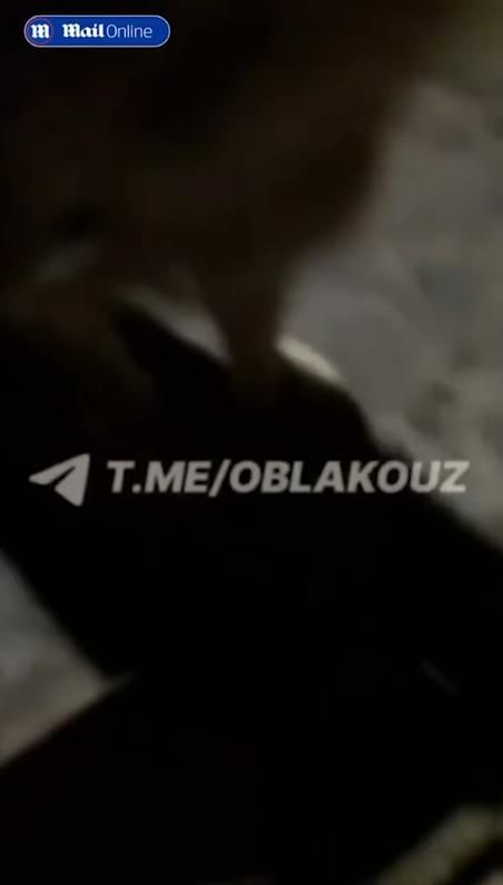 Screenshot 2024-12-31 174357.png