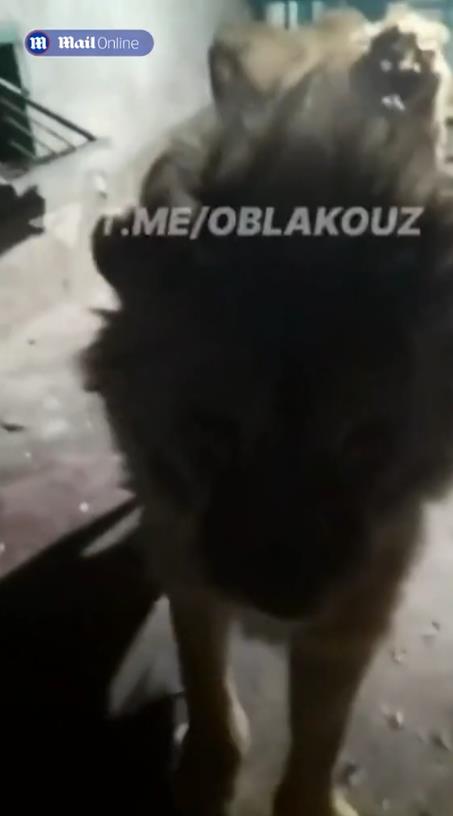 Screenshot 2024-12-31 174310.png