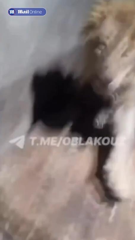 Screenshot 2024-12-31 174301.png