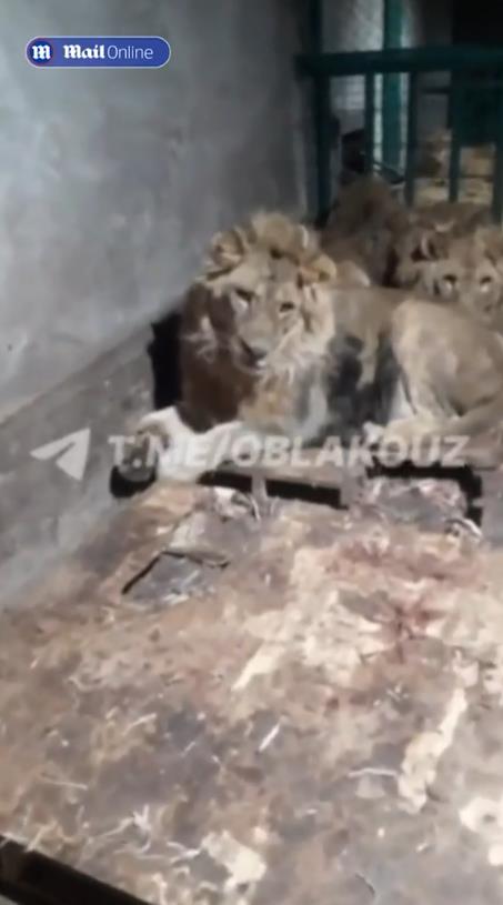 Screenshot 2024-12-31 174207.png