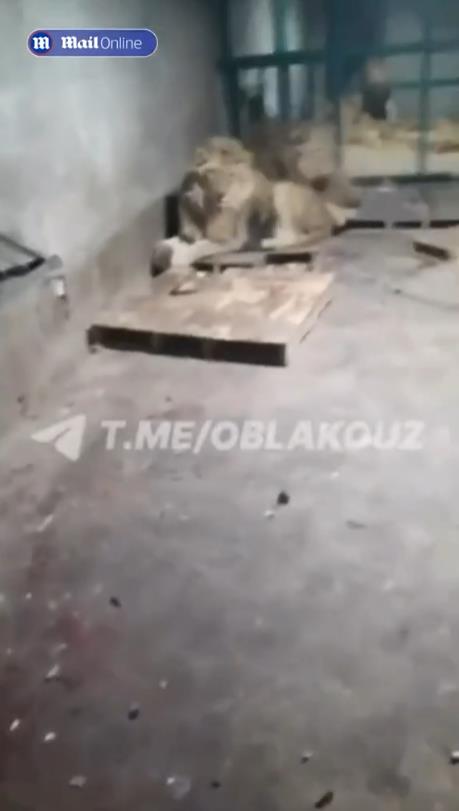 Screenshot 2024-12-31 174200.png