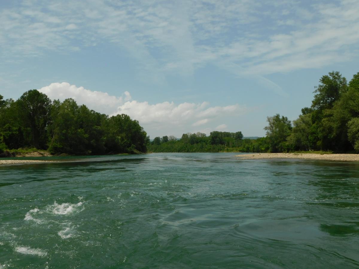 LOZNICA - Ovako treba da izgleda.JPG