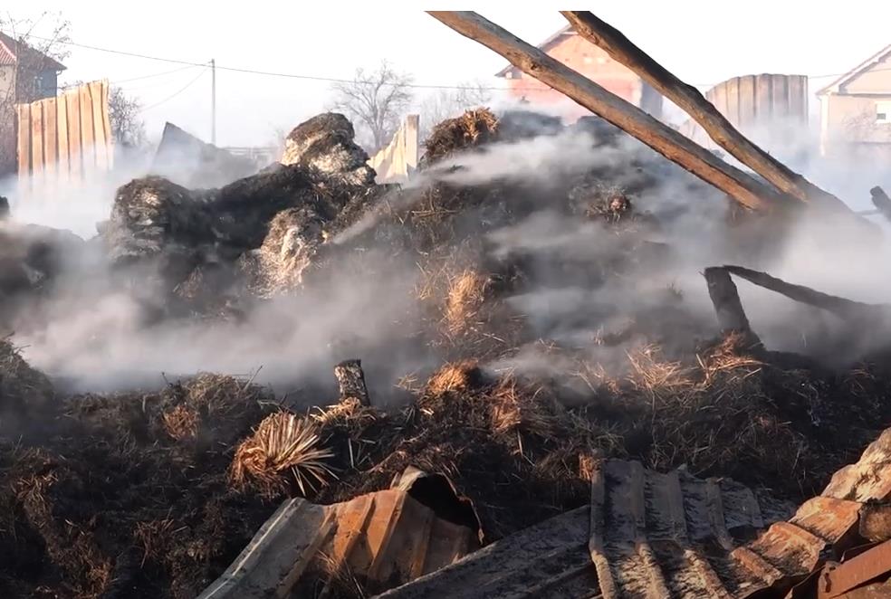 Screenshot 2025-01-02 195847.png