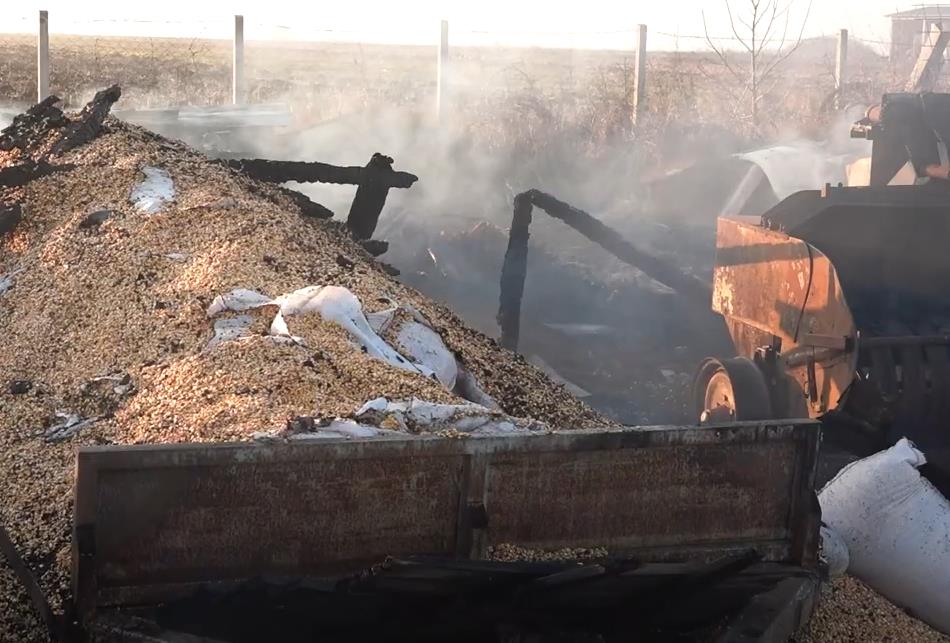 Screenshot 2025-01-02 195854.png