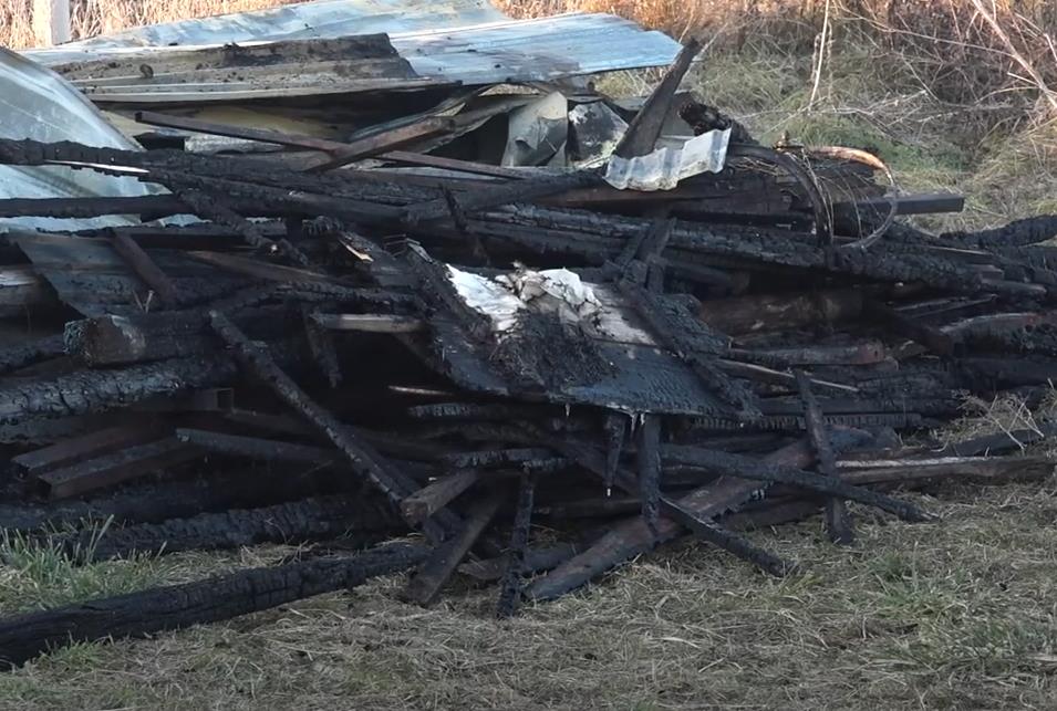 Screenshot 2025-01-02 195858.png