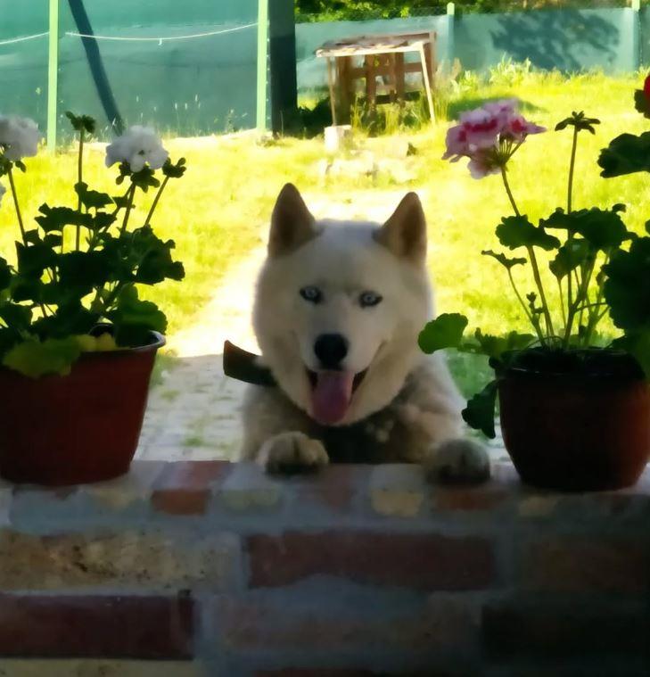 2025-01-03 07_47_19-Instagram.jpg