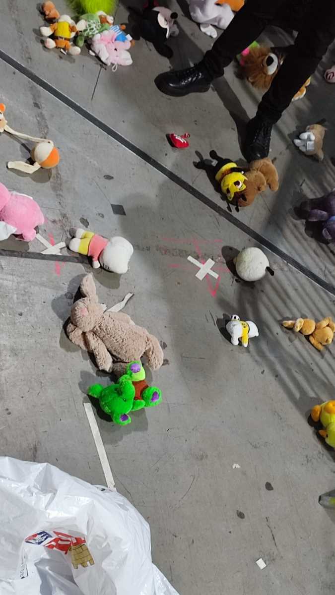 WhatsApp Image 2025-01-03 at 8.31.56 PM.jpeg