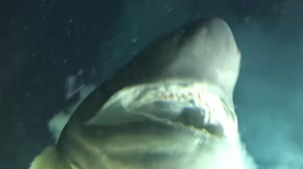 Screenshot 2025-01-04 090715.png