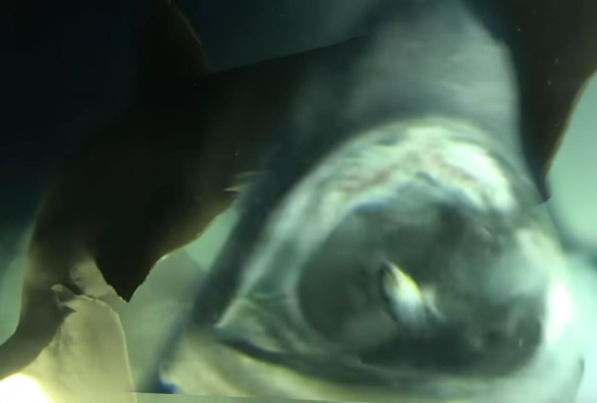 Screenshot 2025-01-04 090612 copy2313.png