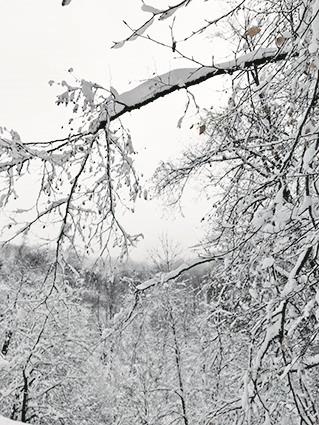 0801 privatna arhiva (1).jpg