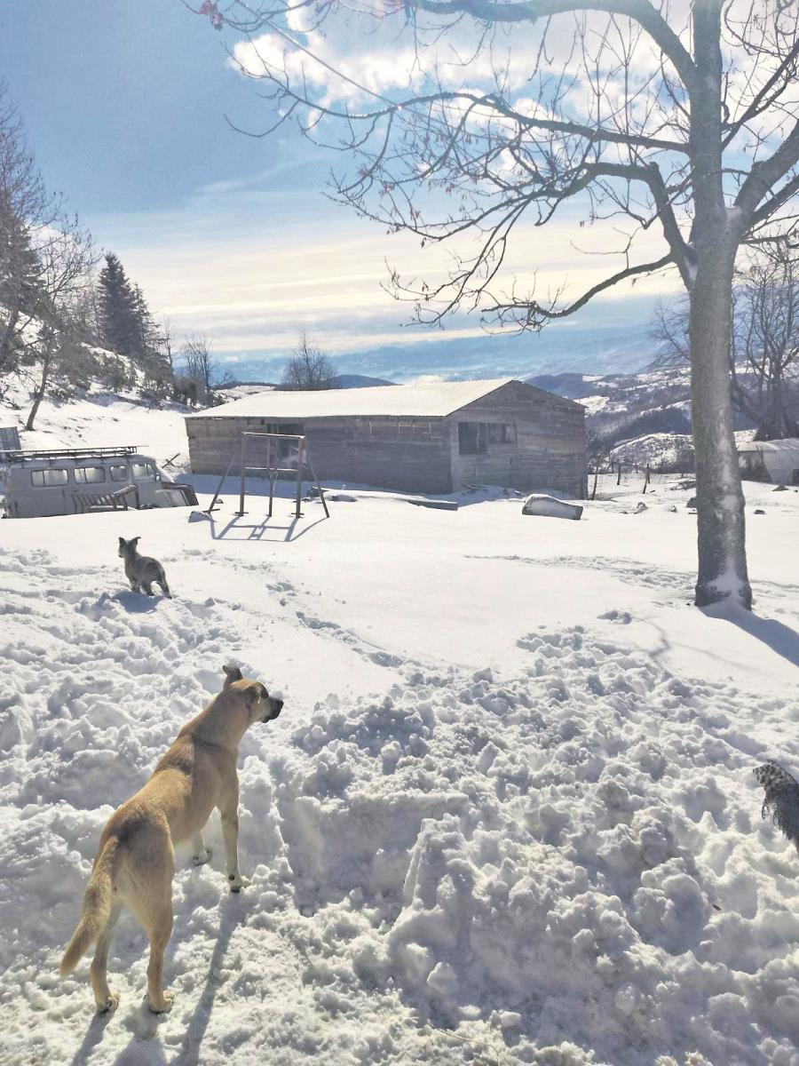 0801 privatna arhiva (5).jpg