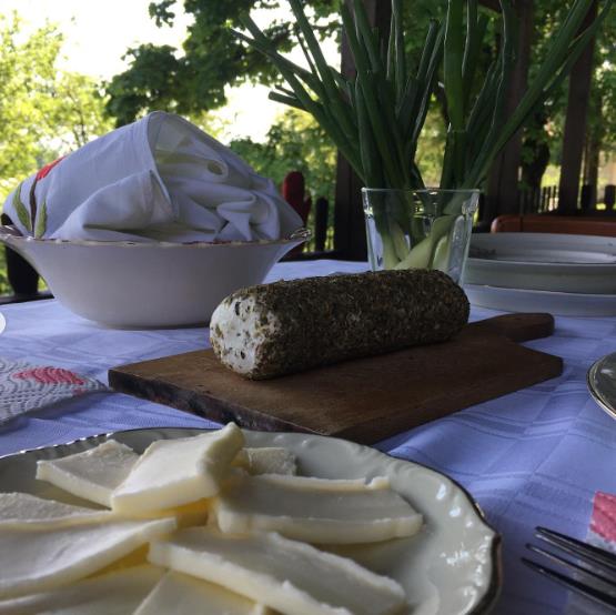 katarina zutic 14.jpg