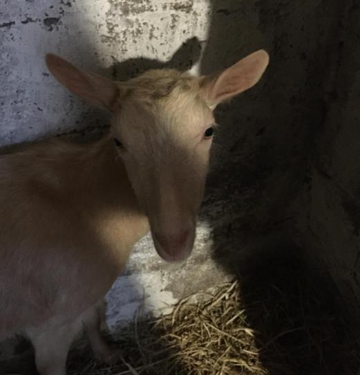 katarina zutic 13.png