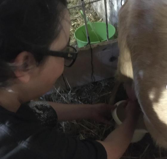 katarina zutic 11.png