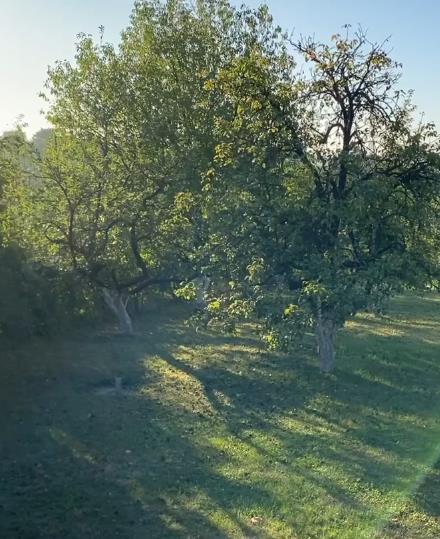 katarina zutic 8.png