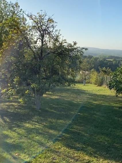 katarina zutic 7.png