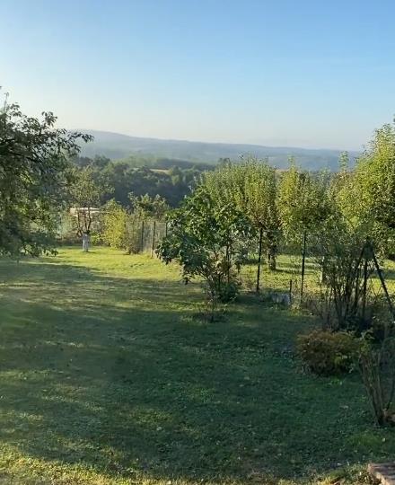 katarina zutic 6.png