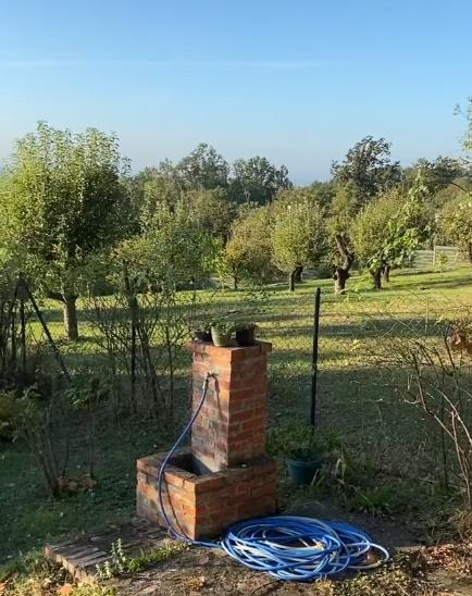 katarina zutic 5.png