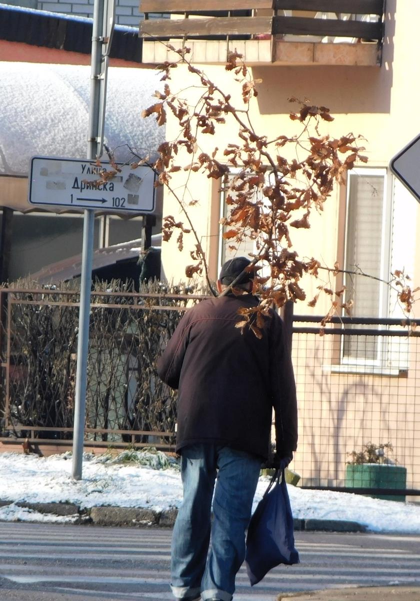 LOZNICA - Kupljen.JPG