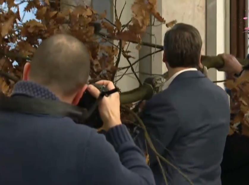 Screenshot 2025-01-06 091036.png