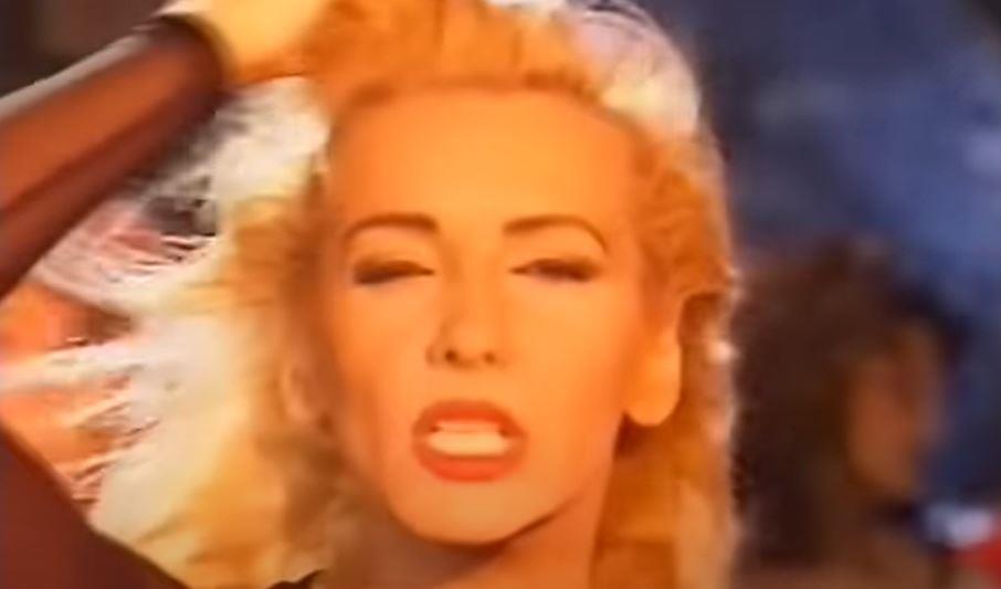 Vesnu Zmijanac izvređali