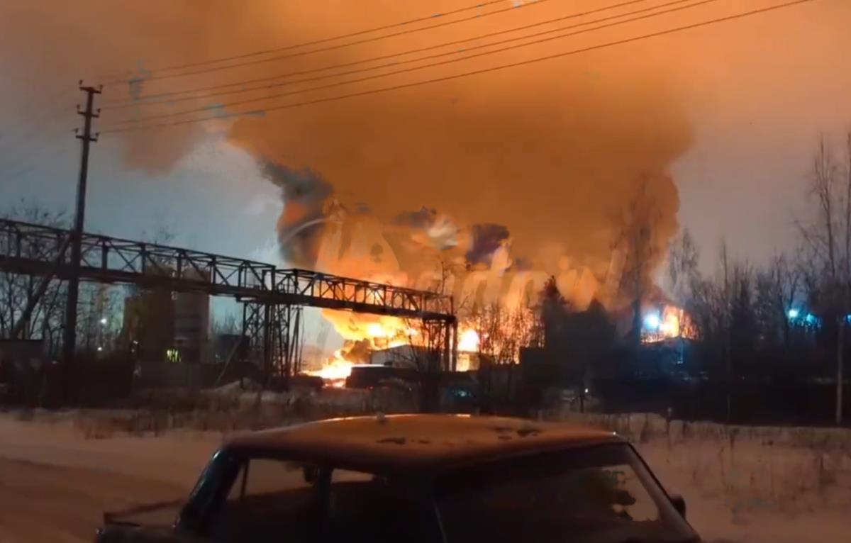 wmremove-transformed (2).png