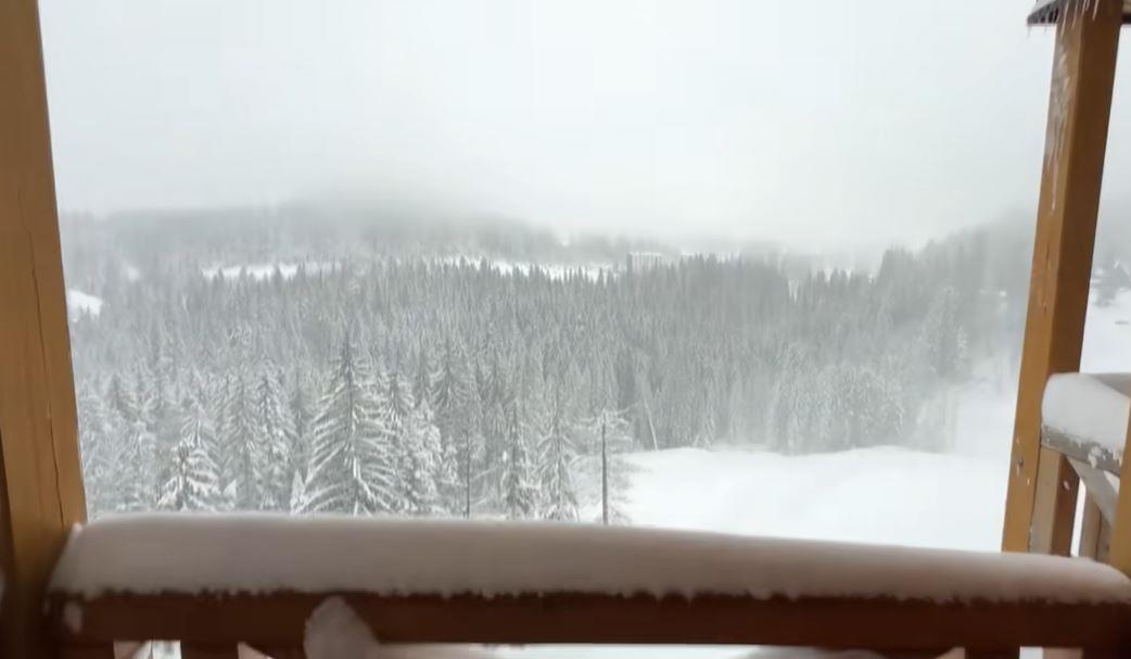 2025-01-11 09_51_13-(3) Marija Šerifović - BABA I UNUK NA ZIMOVANJU #179 - YouTube.jpg