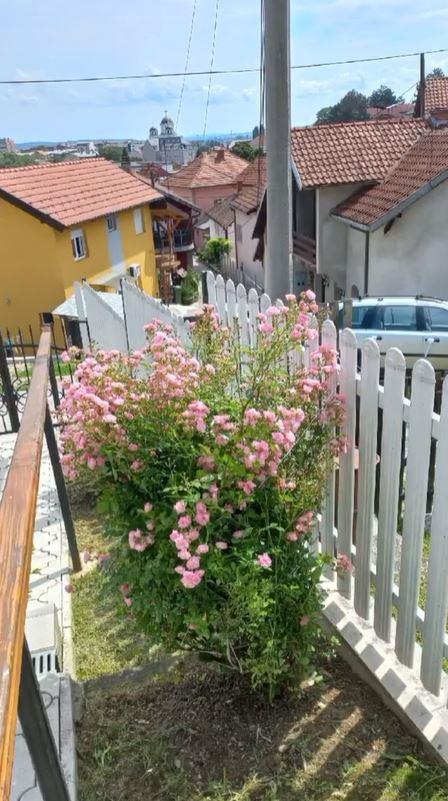 2025-01-11 13_00_11-Instagram.jpg