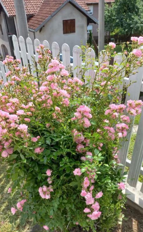 2025-01-11 13_00_15-Instagram.jpg