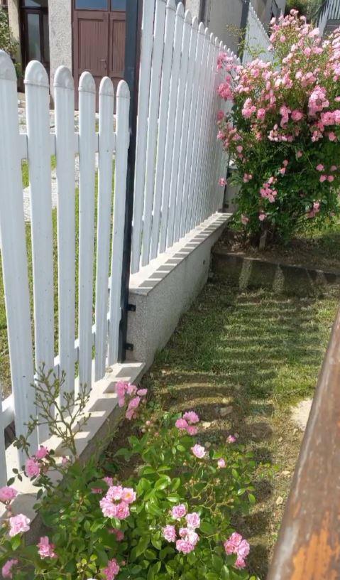 2025-01-11 13_00_22-Instagram.jpg