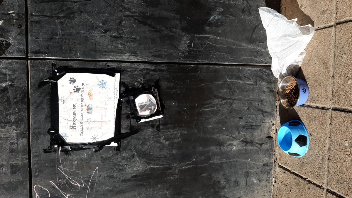 LOZNICA - Za gladne pse imačke.jpg