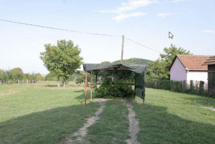 2025-01-12 09_13_51-Ovo je vikendica Nade Topčagić na Tari _ Kurir.jpg