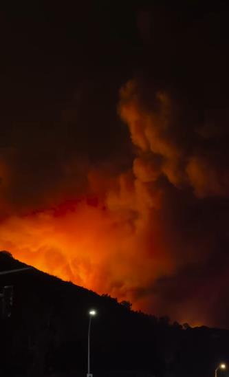 sebastijan harison (1).jpg