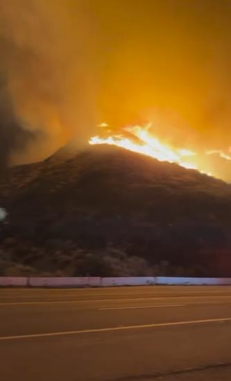 sebastijan harison (4).png