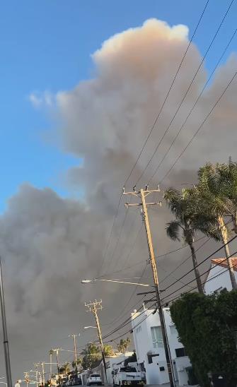 sebastijan harison (6).png