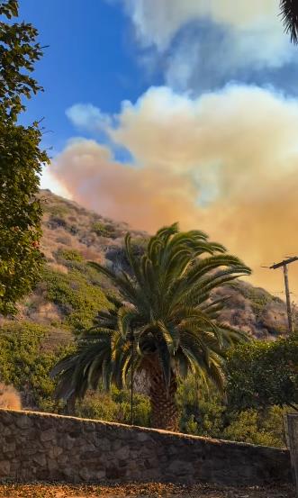 sebastijan harison (8).png