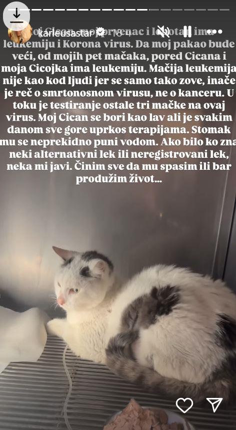 2025-01-12 11_19_49-Приче • Instagram.jpg