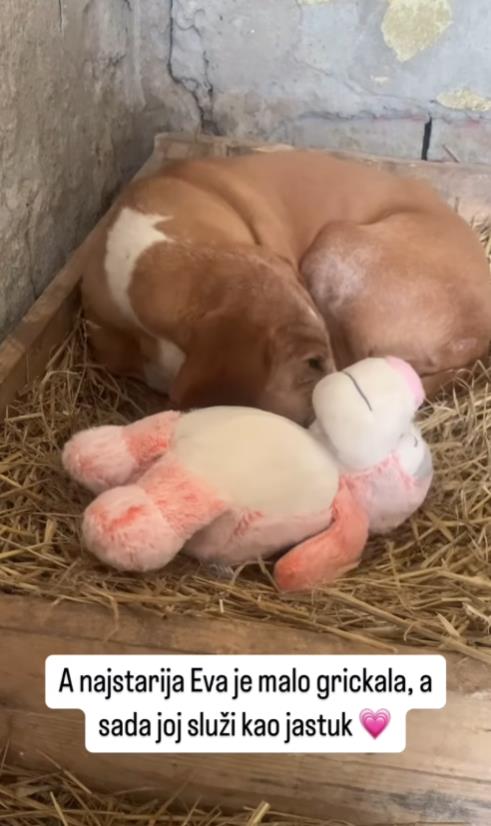 Screenshot 2025-01-12 172320.jpg