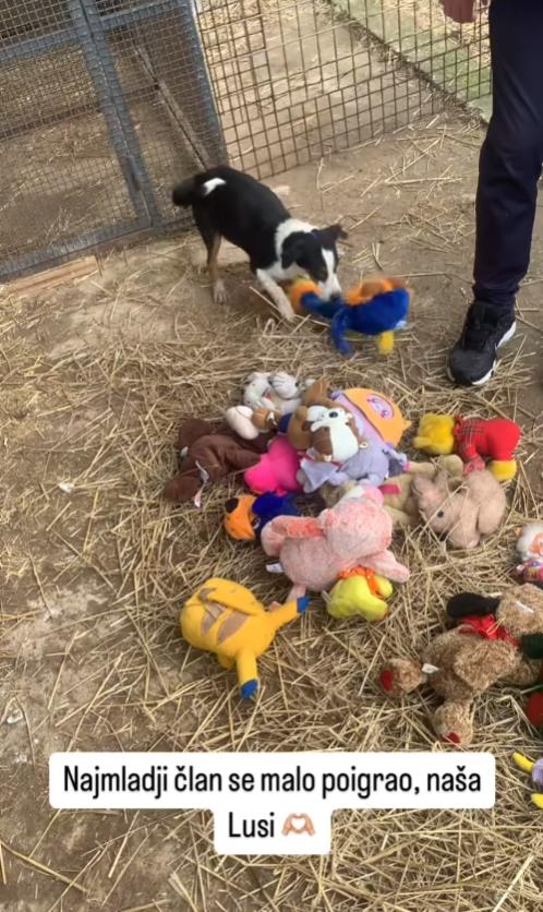 Screenshot 2025-01-12 172223.png