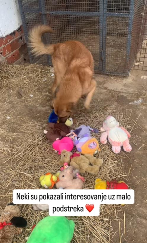 Screenshot 2025-01-12 172147.png