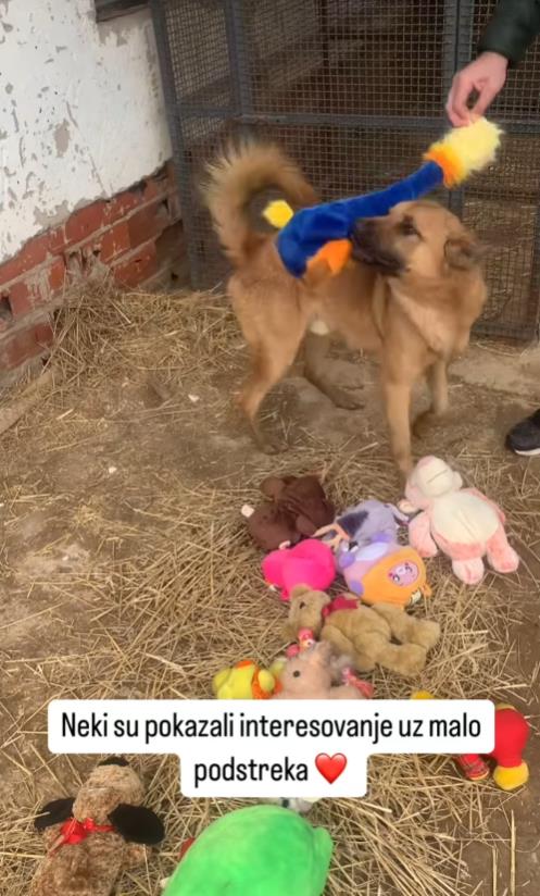 Screenshot 2025-01-12 172136.png