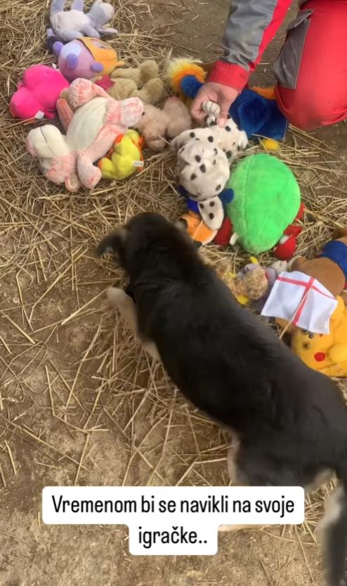 Screenshot 2025-01-12 172106.png