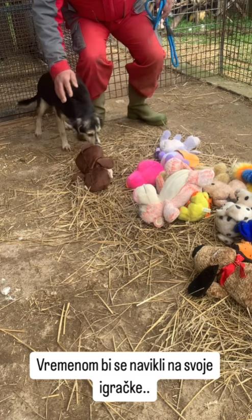 Screenshot 2025-01-12 172044.png