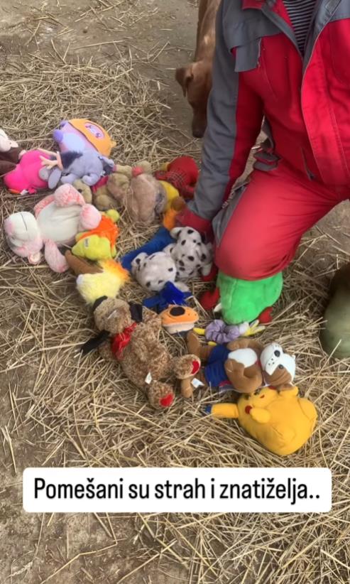 Screenshot 2025-01-12 172026.png