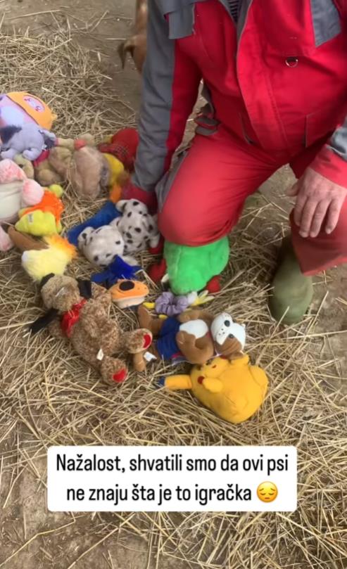 Screenshot 2025-01-12 172021.png